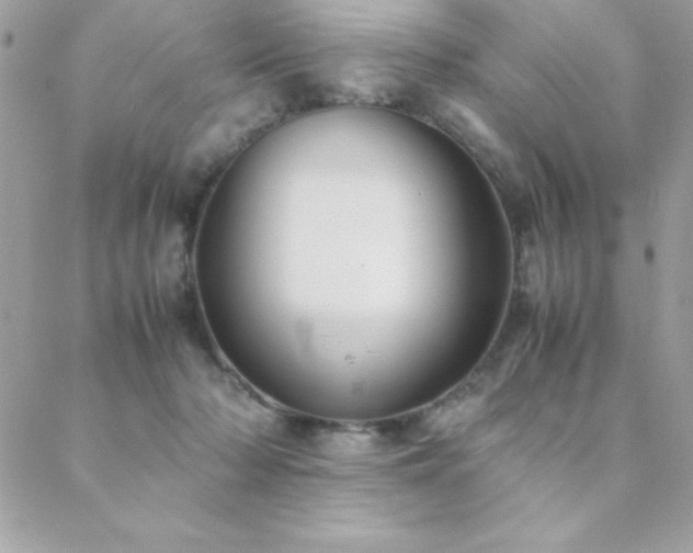 X0000089360318200706151140