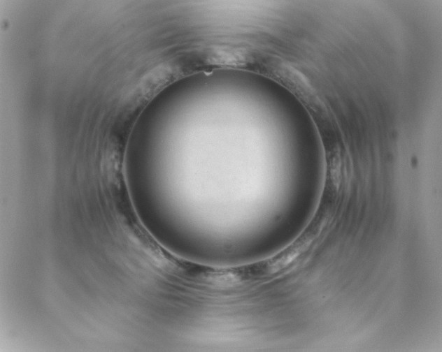 X0000089360322200706151140