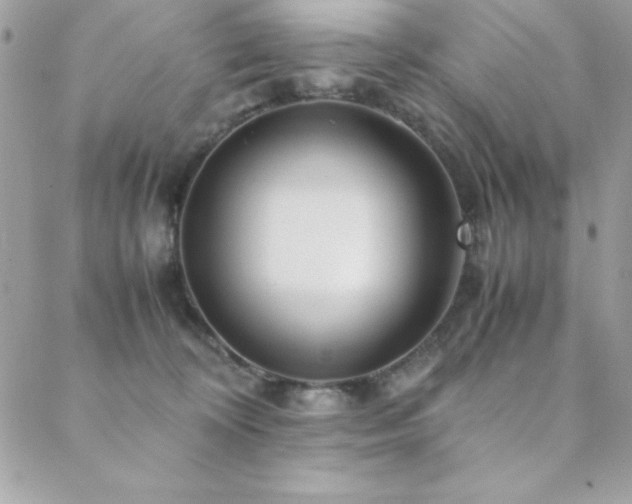 X0000089360324200706151140
