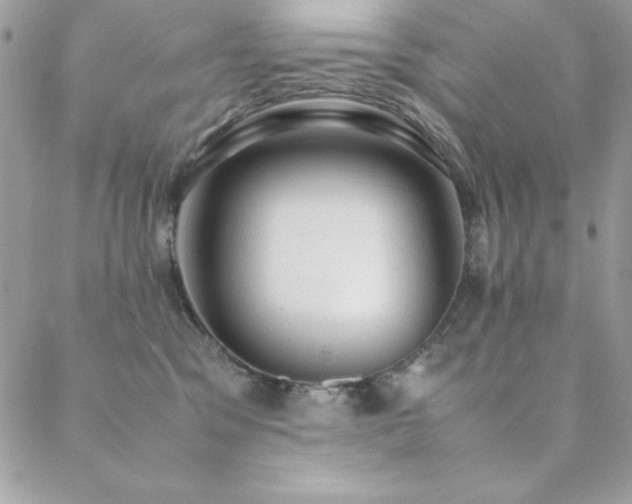 X0000089360329200706151140