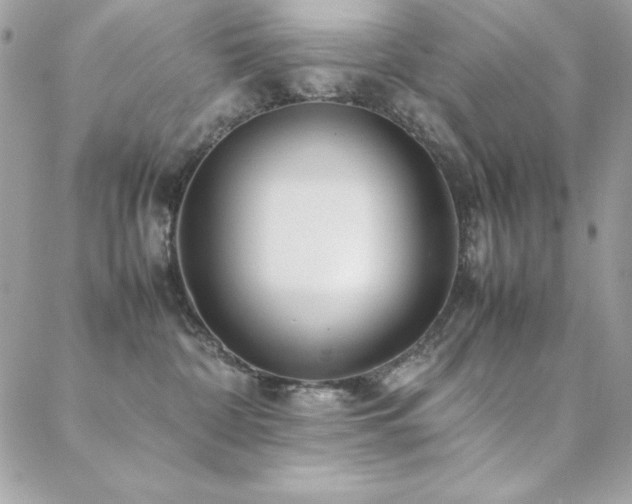 X0000089360332200706151140