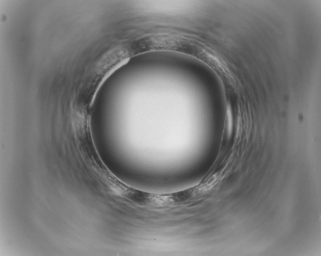 X0000089360333200706151140