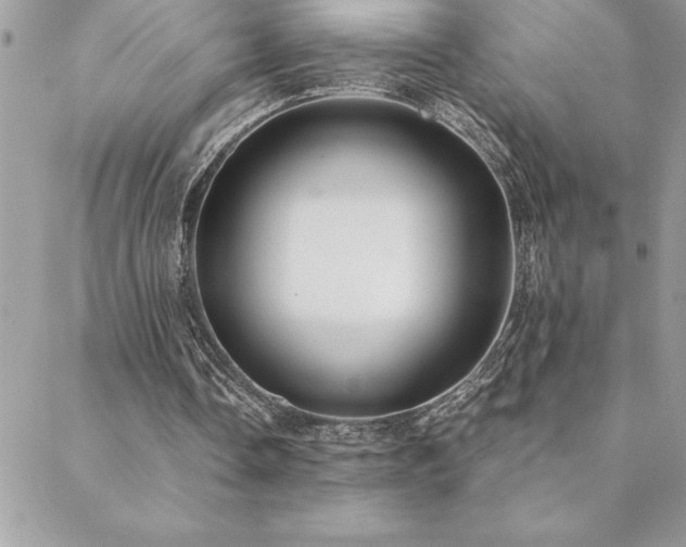 X0000089360338200706151139
