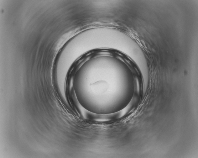 X0000089360340200706151139