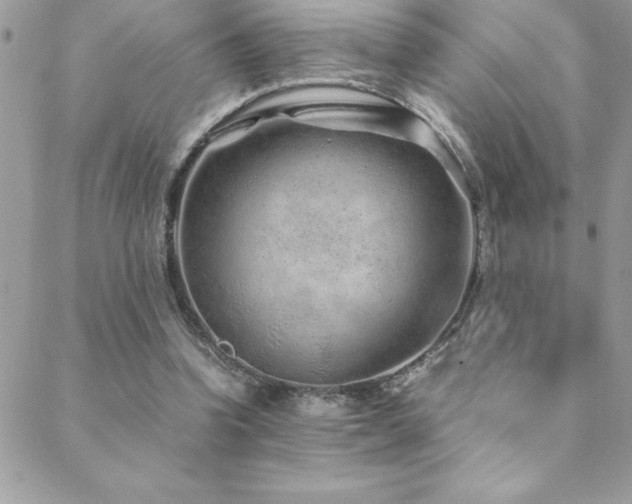 X0000089360346200706151139