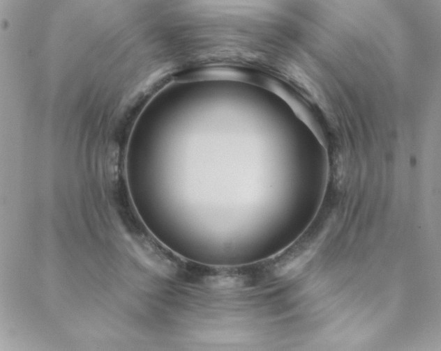 X0000089360356200706151139