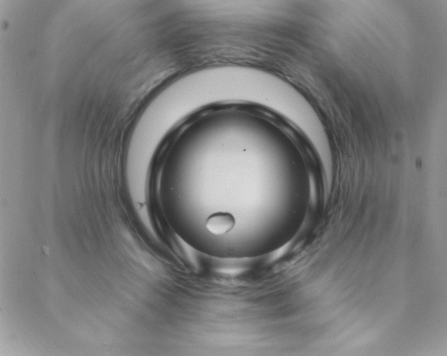 X0000089360360200706151139