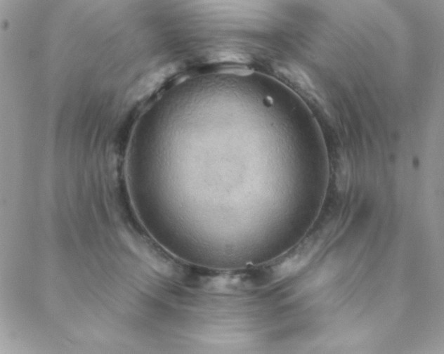 X0000089360366200706151139