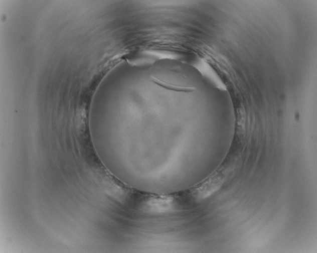 X0000089360369200706151139