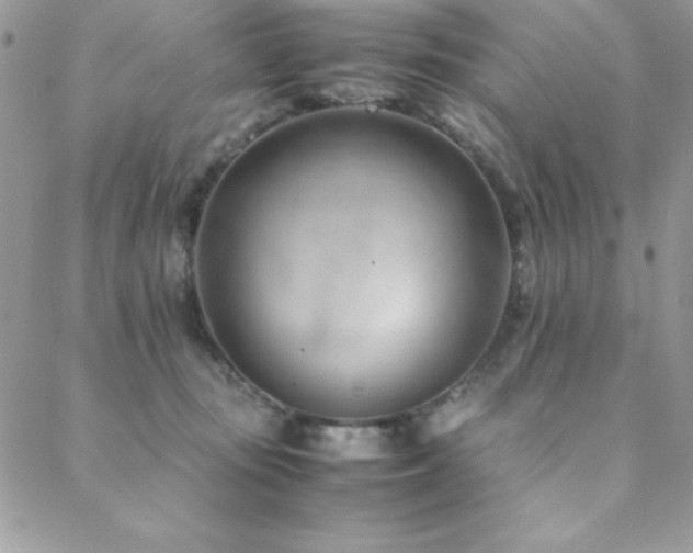 X0000089360371200706151140