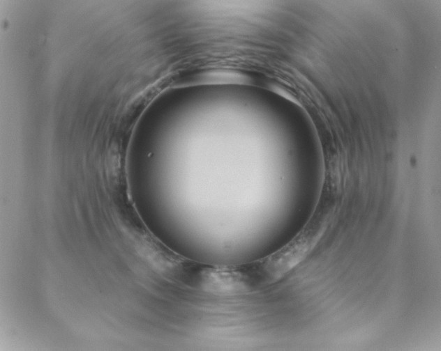 X0000089360372200706151140