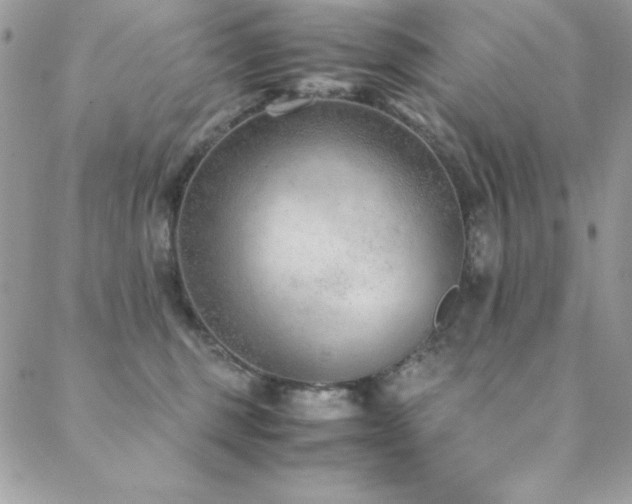 X0000089360375200706151140