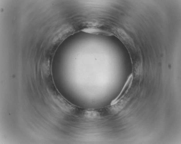 X0000089360376200706151140