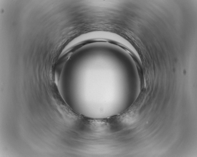 X0000089360380200706151140