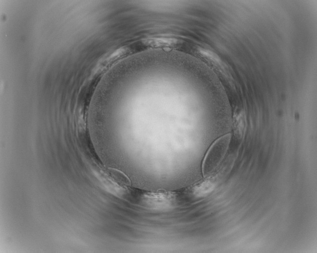 X0000089360381200706151140