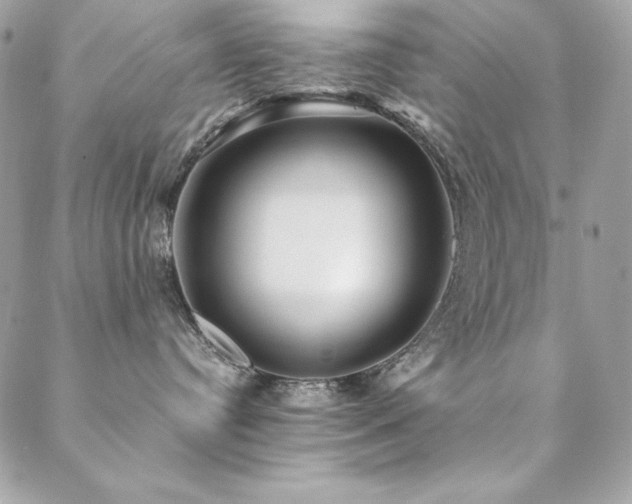 X0000089360384200706151140
