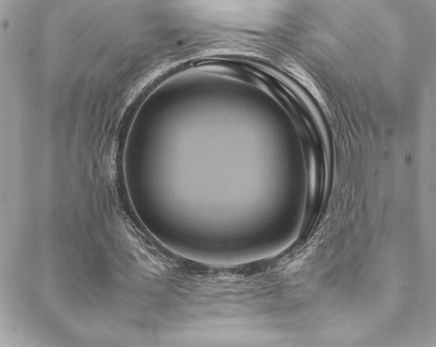 X0000089360387200706151139