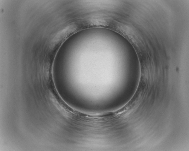 X0000089360402200706151139
