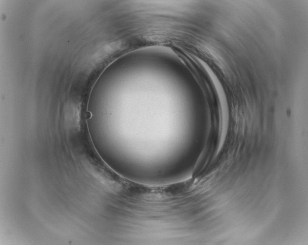 X0000089360404200706151139