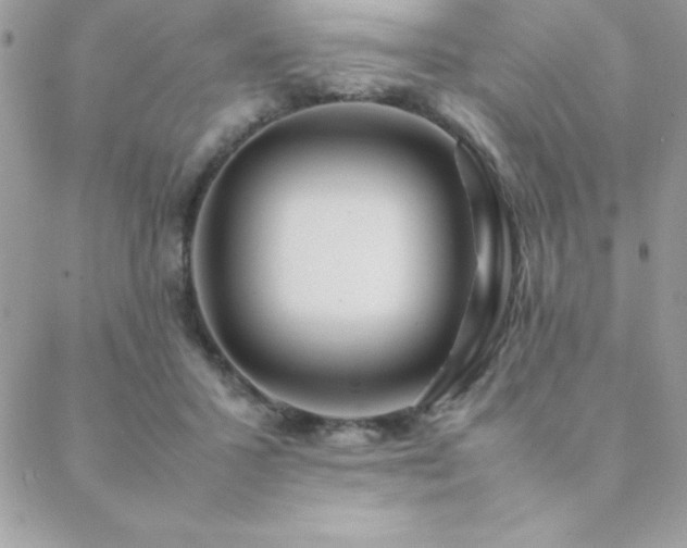 X0000089360407200706151139