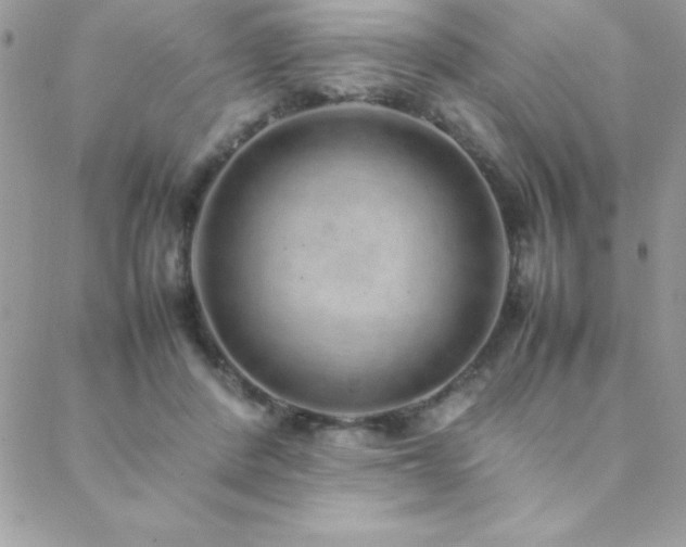 X0000089360408200706151139