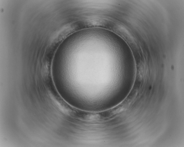X0000089360410200706151139
