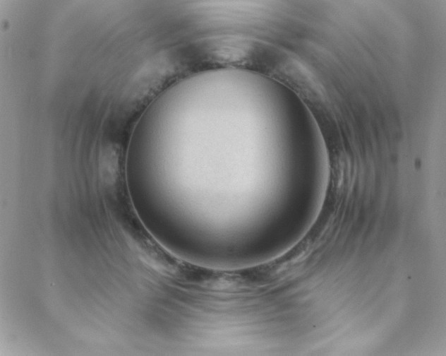 X0000089360412200706151139