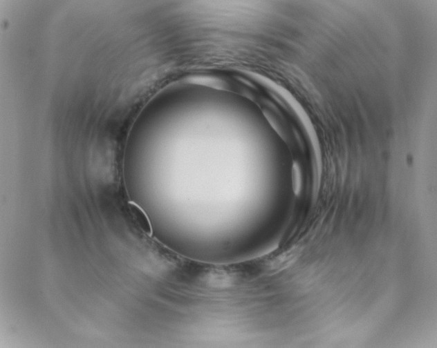 X0000089360416200706151138