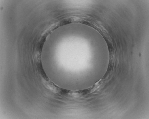 X0000089360419200706151138