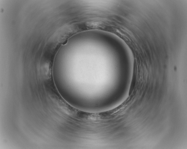 X0000089360420200706151138