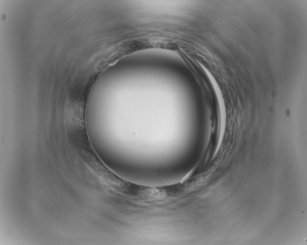 X0000089360421200706151138