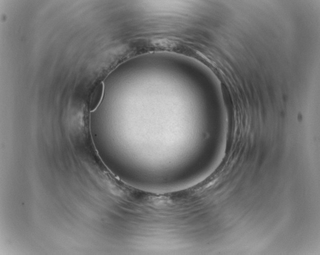 X0000089360424200706151138