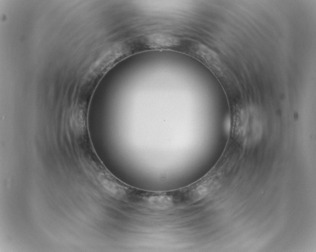 X0000089360426200706151138