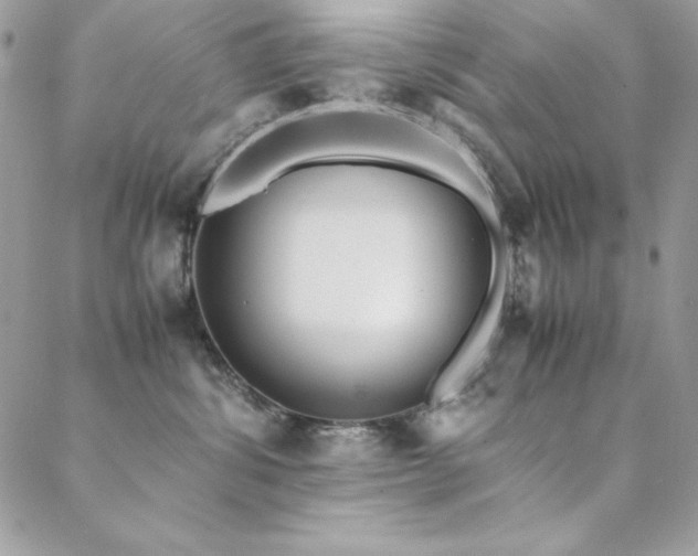 X0000089360428200706151138
