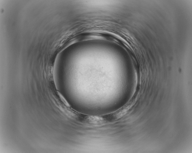 X0000089360429200706151138