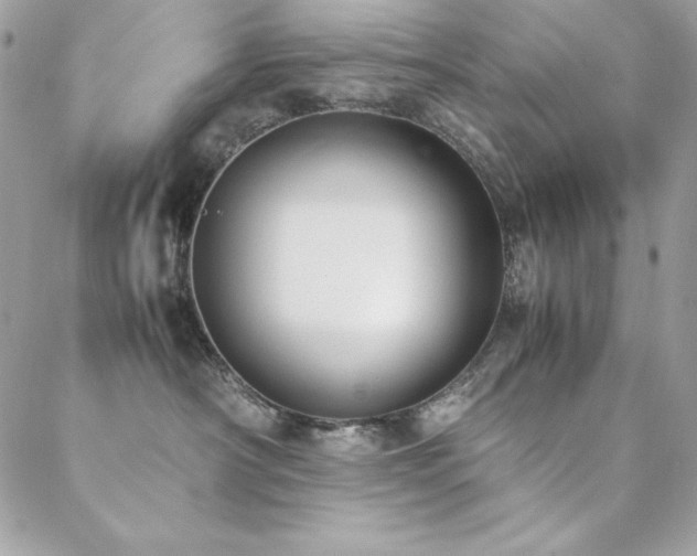 X0000089360430200706151138