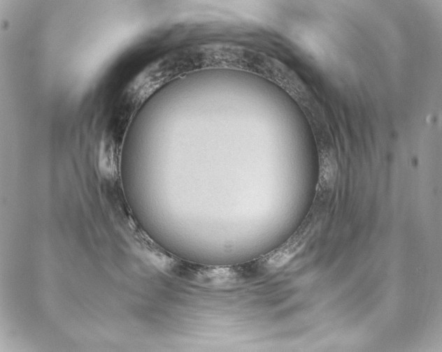 X0000089360431200706151138
