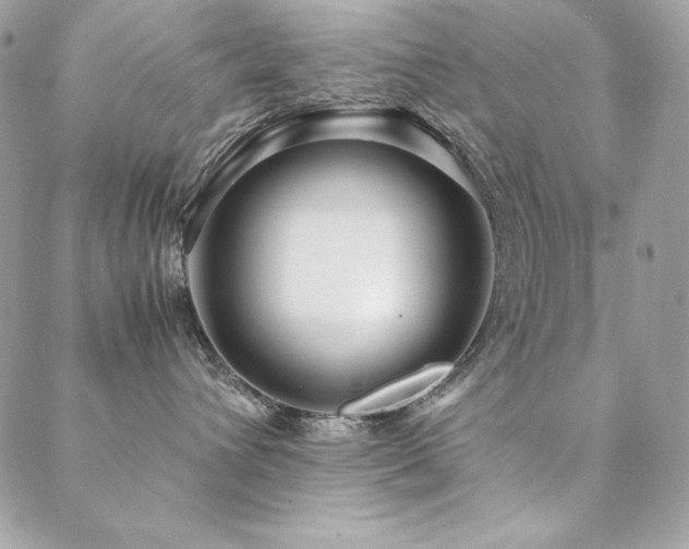 X0000089360432200706151138