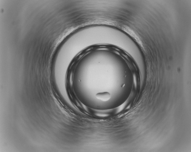 X0000089360436200706151137