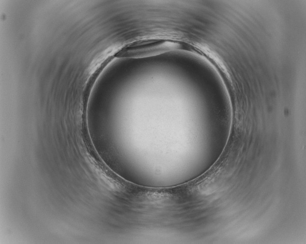 X0000089360437200706151137