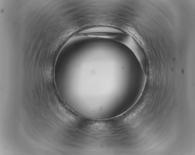 X0000089360441200706151138