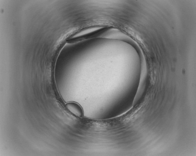 X0000089360442200706151138