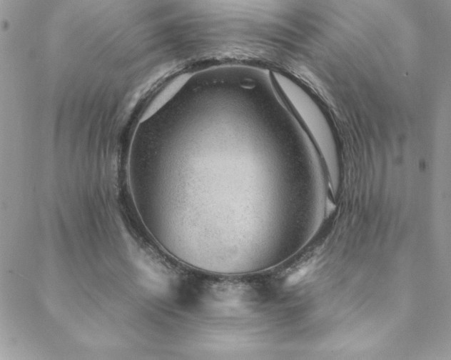 X0000089360444200706151138
