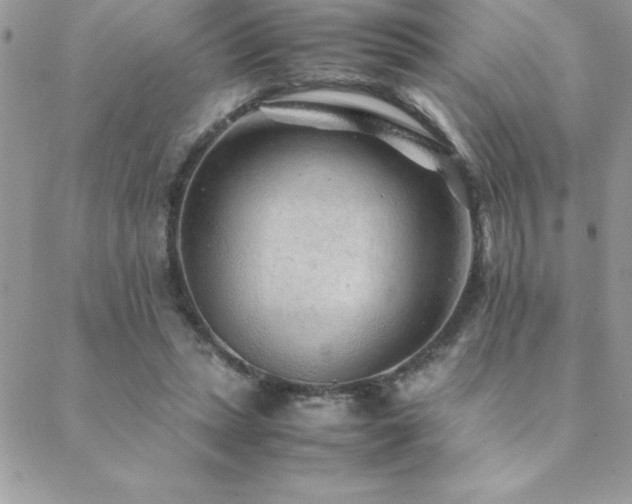 X0000089360447200706151138