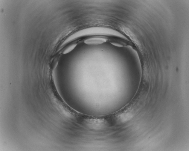 X0000089360449200706151138