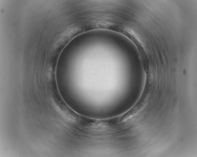 X0000089360451200706151138
