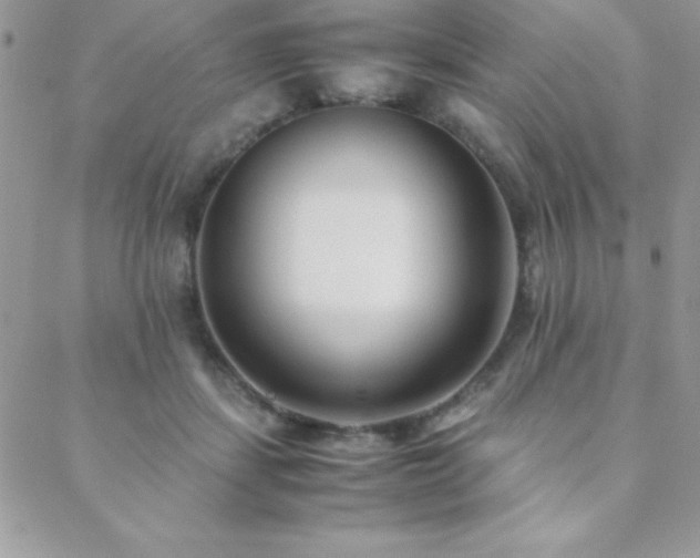 X0000089360459200706151138