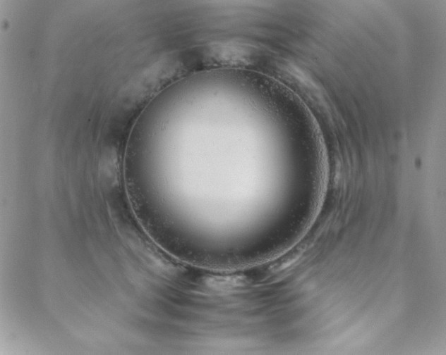 X0000089360465200706151138