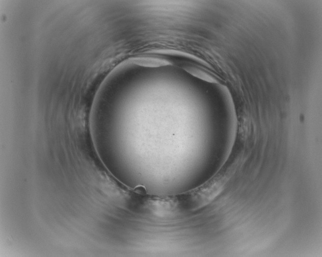 X0000089360466200706151138