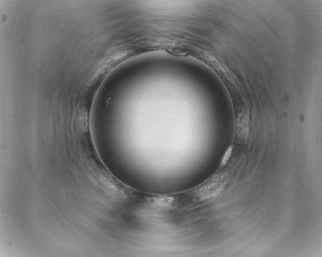 X0000089360474200706151138